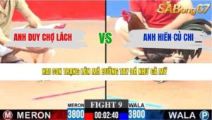 TRẬN 9 CPC3 28/3/2026