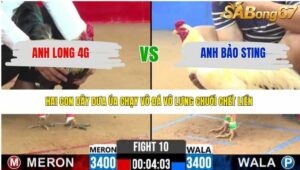 TRẬN 10 CPC2 3/4/2026