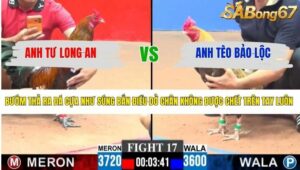 TRẬN 17 CPC3 4/4/2026
