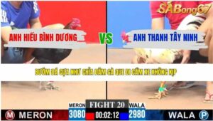 TRẬN 20 CPC3 4/4/2026