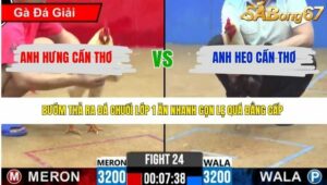 TRẬN 24 CPC2 3/4/2026