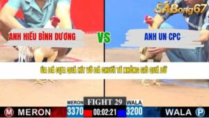 TRẬN 29 CPC3 4/4/2026