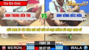 TRẬN 38 CPC2 3/4/2026