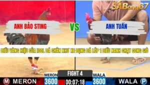 TRẬN 4 CPC2 7/4/2026