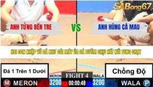 TRẬN 4 CPC3 7/4/2026