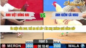 TRẬN 5 CPC2 3/4/2026