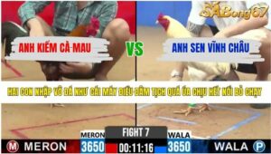 TRẬN 7 CPC2 3/4/2026