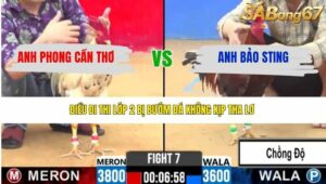 TRẬN 7 CPC2 7/4/2026