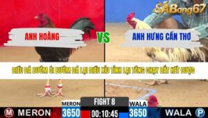 TRẬN 8 CPC2 3/4/2026