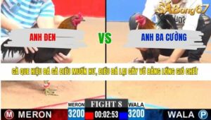 TRẬN 8 CPC3 7/4/2026