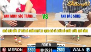 TRẬN 9 CPC2 8/4/2026